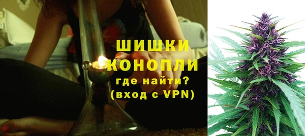 PSILOCYBIN Волоколамск