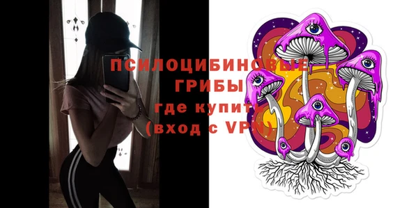 PSILOCYBIN Волоколамск