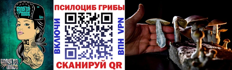 кракен сайт  Ноябрьск  Галлюциногенные грибы мицелий 